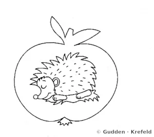 Malvorlage: Igel im Apfel
